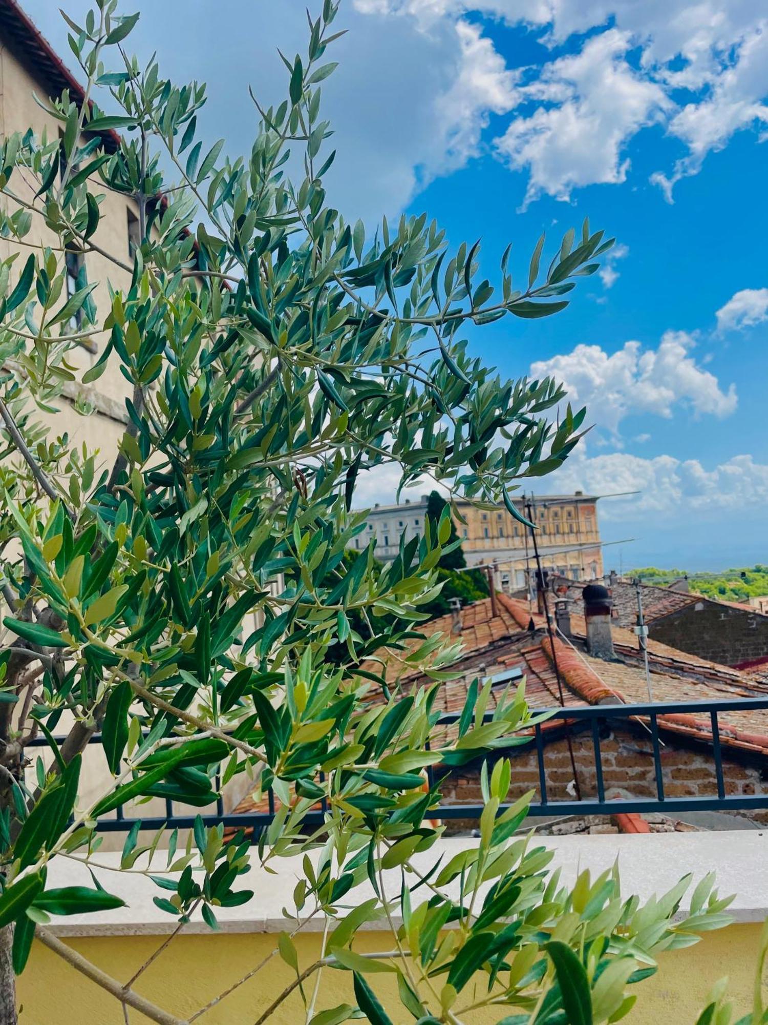 Casa Checca Appartamenti Per Vacanze Caprarola Exterior photo